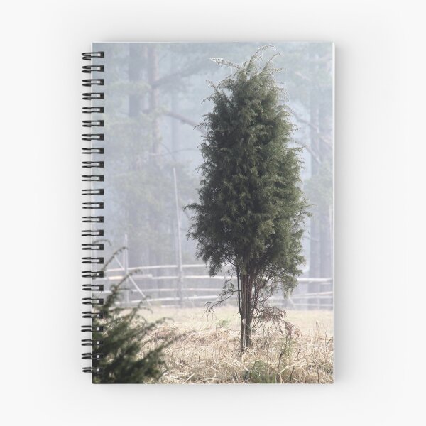 Item preview, 31.3.2016: Juniper designed and sold by Petri Volanen.