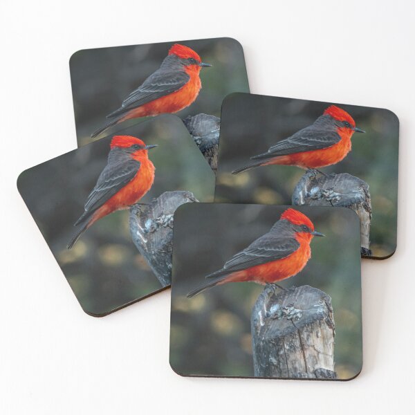Item preview, Vermilion Flycatcher designed and sold by Alfredo Juarez.