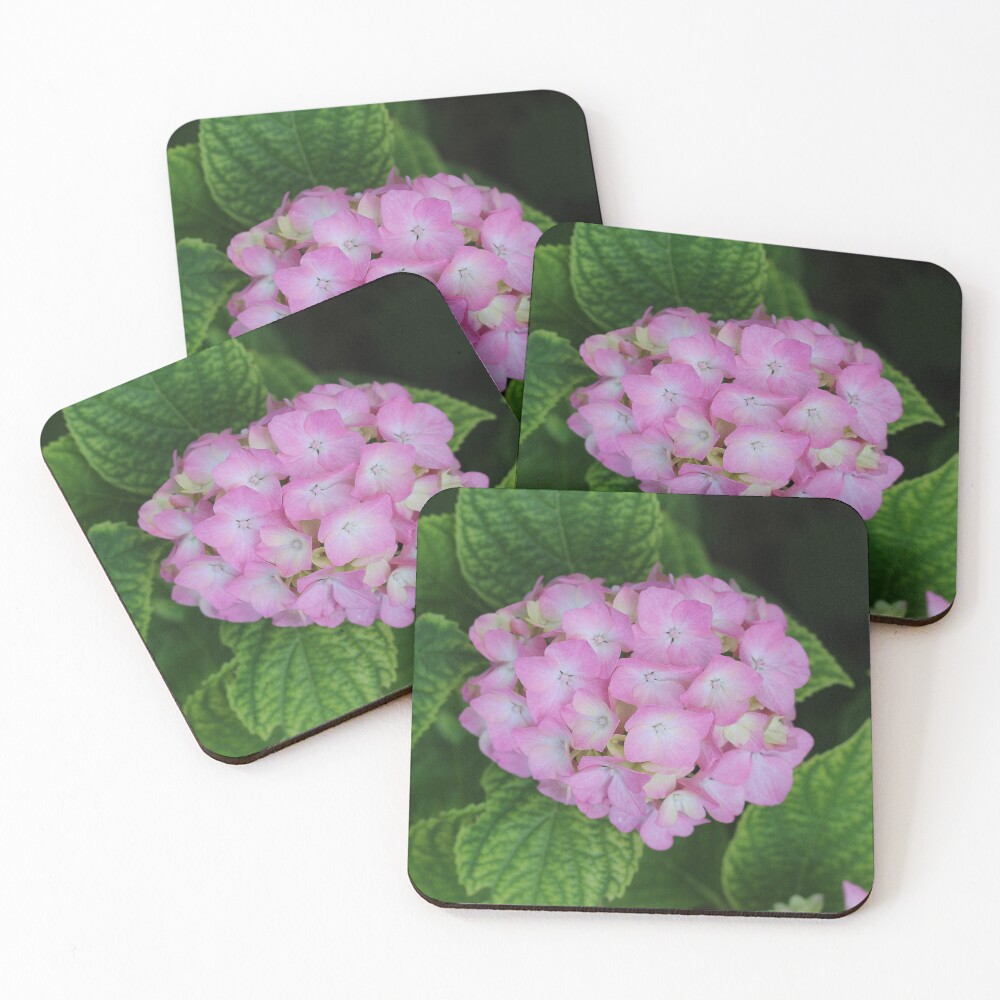 Item preview, Coasters (Set of 4) designed and sold by SweepingShadows.