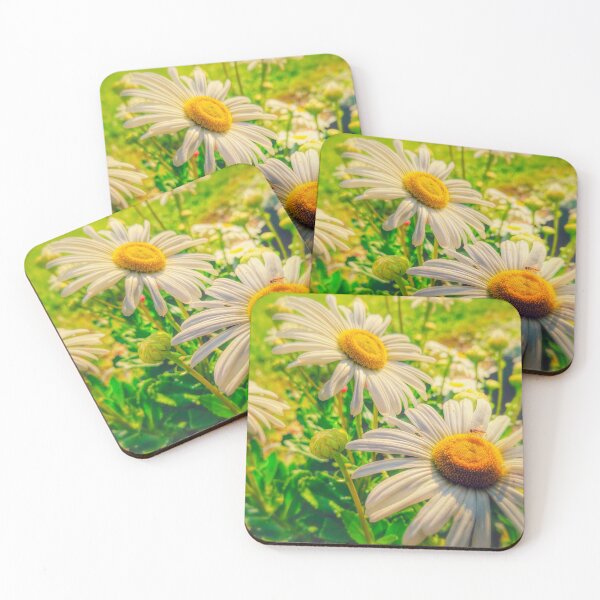 Item preview, Stylized Vintage White Gerber Daisies  with a cute little bug on the petals. designed and sold by PrettyLittlePic.