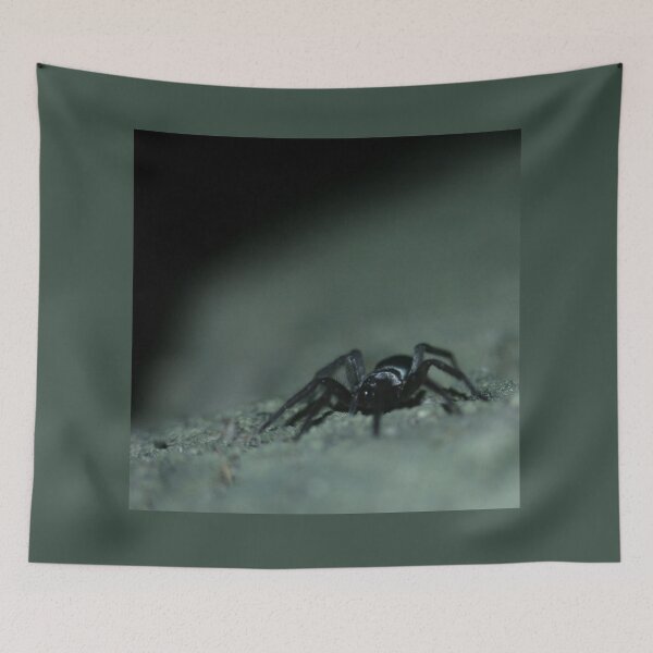 Item preview, Creeping spider designed and sold by NW-Photo-Art.