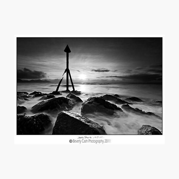 Broken but Standing Strong Photographic Print