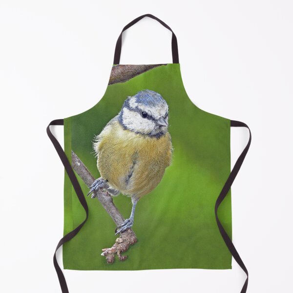 Item preview, r1482/ New Finition - 2021 - mésange b 30 (c)(t) Olavia-Olao Okaio Créations designed and sold by o.okaïo.