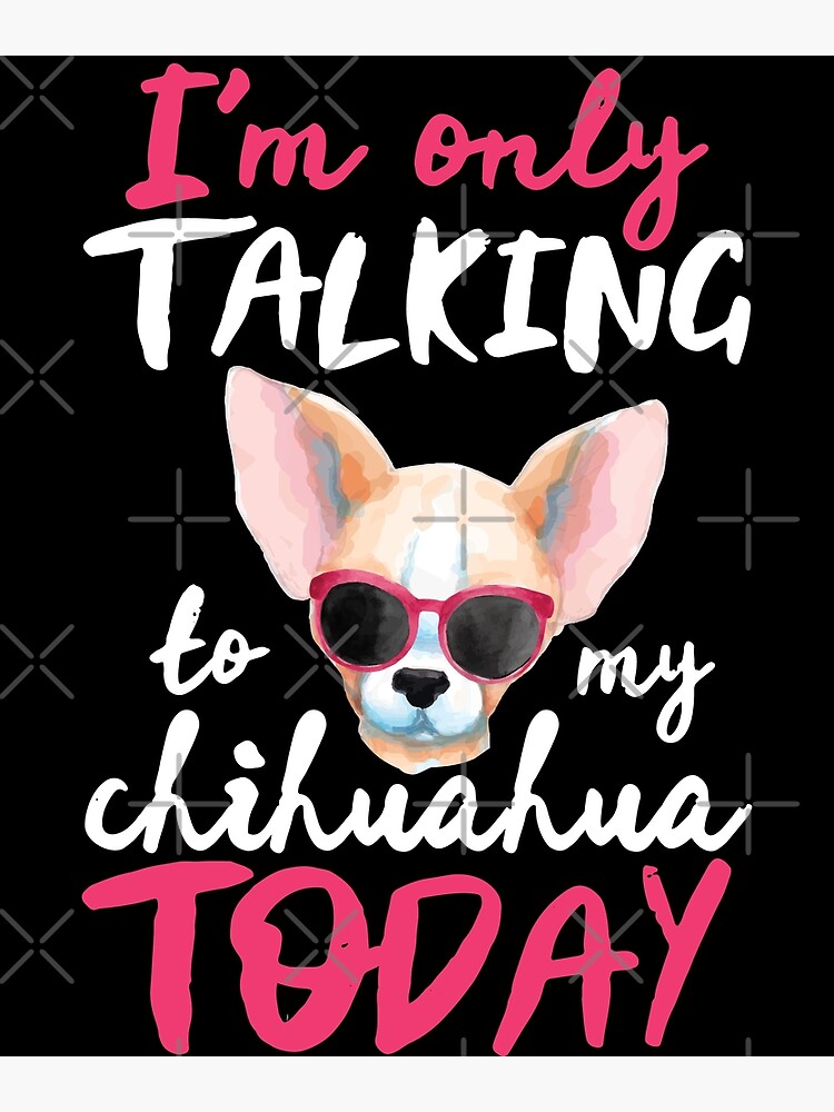 Chihuahua talking hot sale