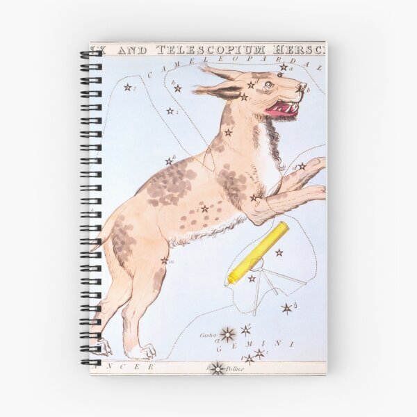 Item preview, Antique Constellation Map of Lynx, Telescopium Herschilii designed and sold by VintageArchive.
