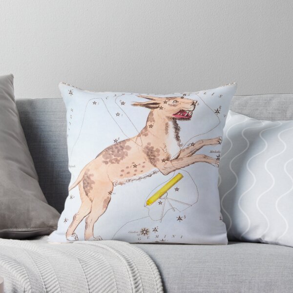 Item preview, Antique Constellation Map of Lynx, Telescopium Herschilii designed and sold by VintageArchive.