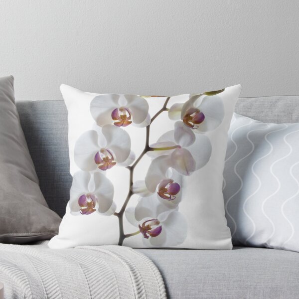 Aperçu de l'œuvre Orchidées en haute clé créée et vendue par Leighton Collins.