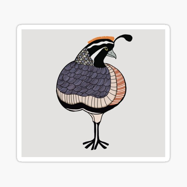 Gamble quail Sticker