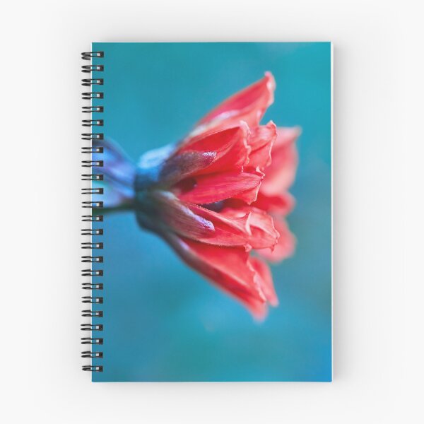Item preview, Orange Dahlia Flower on Teal Turquoise Background designed and sold by LauraCurrie.