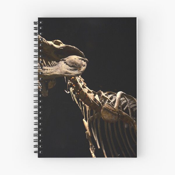 Item preview, T-Rex @ Royal Tyrrell Museum designed and sold by ritupuppala.