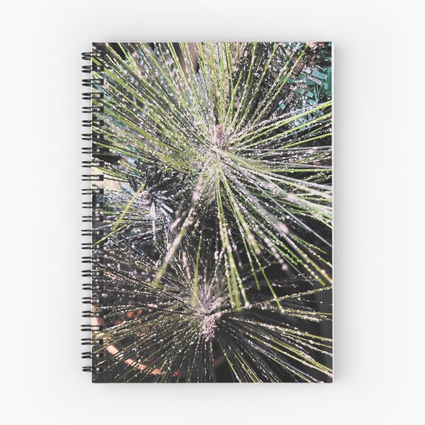 Item preview, Planta verde designed and sold by Moleva.