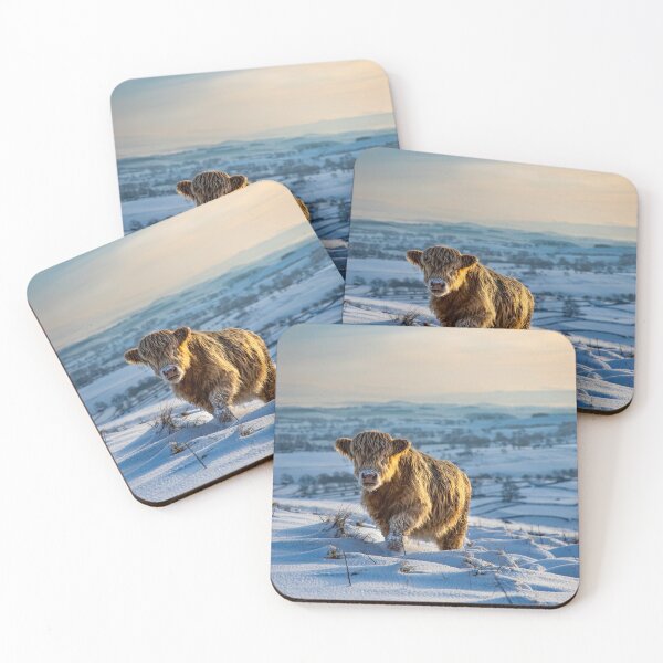 Item preview, Highland Coo designed and sold by MJ-Piccys.