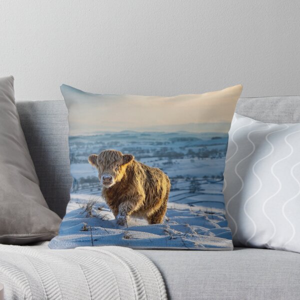 Item preview, Highland Coo designed and sold by MJ-Piccys.