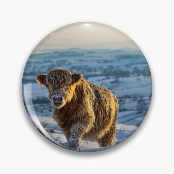 Item preview, Highland Coo designed and sold by MJ-Piccys.
