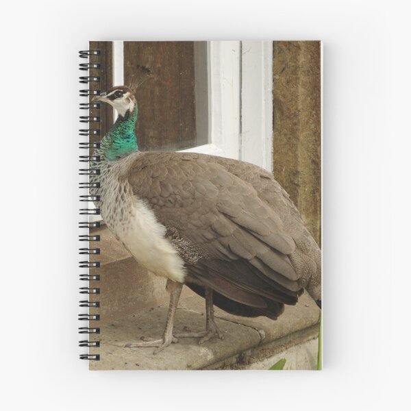 Item preview, Peahen Admires Reflection designed and sold by Adrian Wale.
