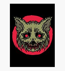 Evil Dirty Zombie Cat Photographic Print
