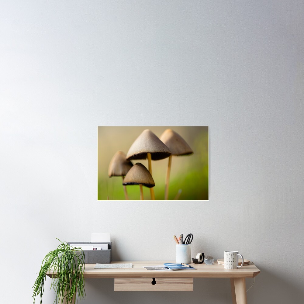 Vista previa del artículo con la obra «Póster», diseñado y vendido por ILODESIGNS.