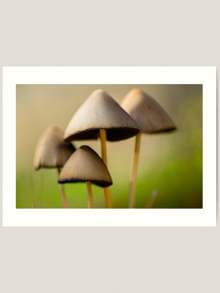 Imagen 1 de 3, Lámina artística con la obra La familia, diseñada y vendida por ILODESIGNS.