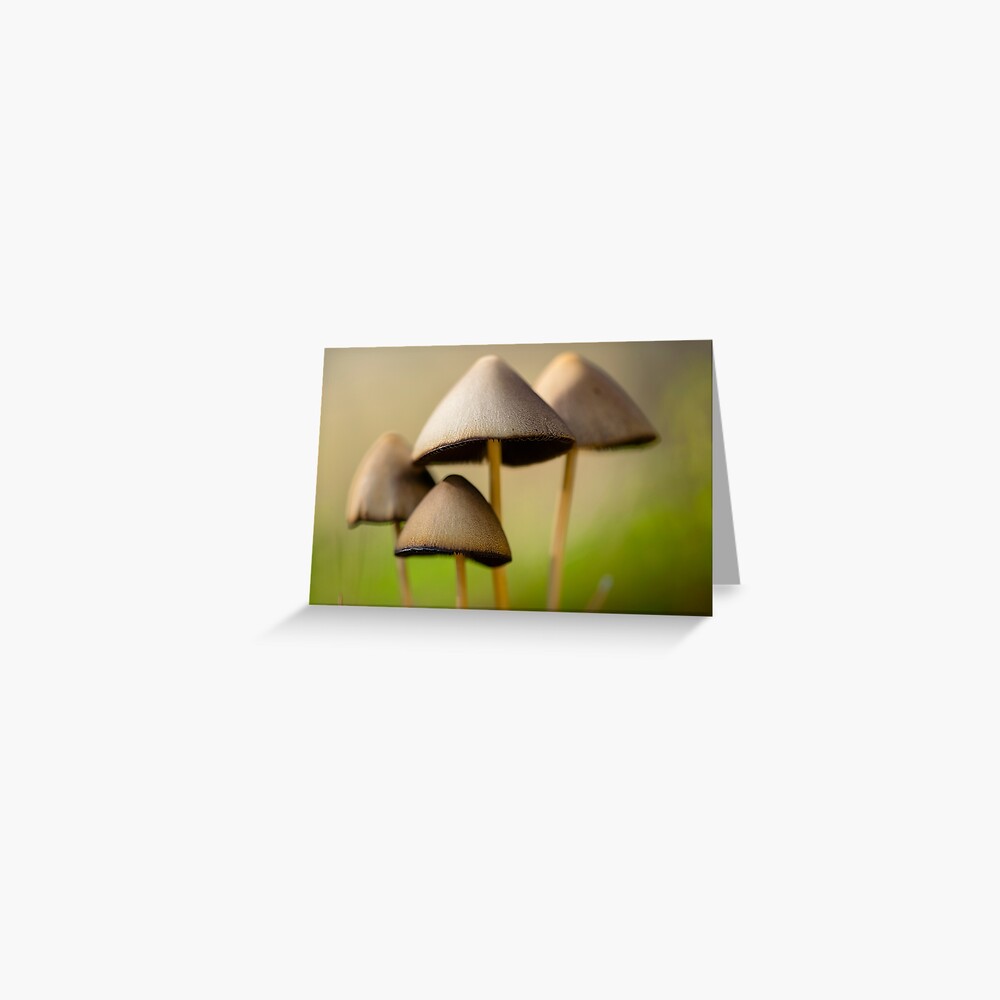 Vista previa del artículo con la obra «Tarjetas de felicitación», diseñado y vendido por ILODESIGNS.