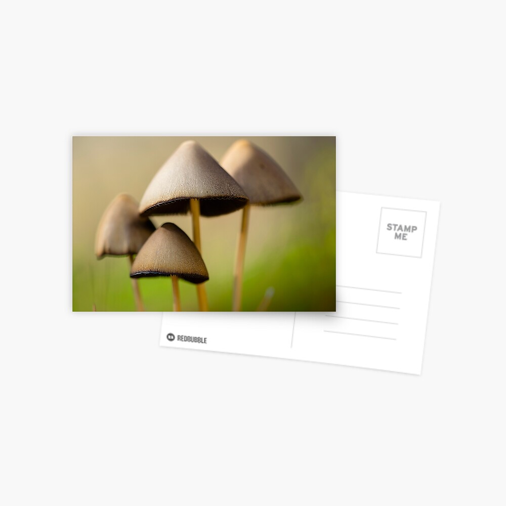 Vista previa del artículo con la obra «Postal», diseñado y vendido por ILODESIGNS.