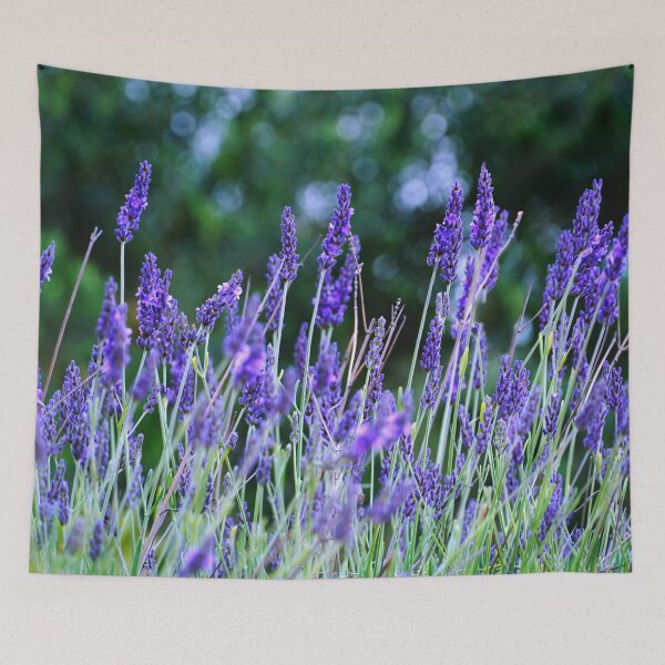 Item preview, Vibrant Lavender Meadow designed and sold by ALEX PHOTO DREAMS.