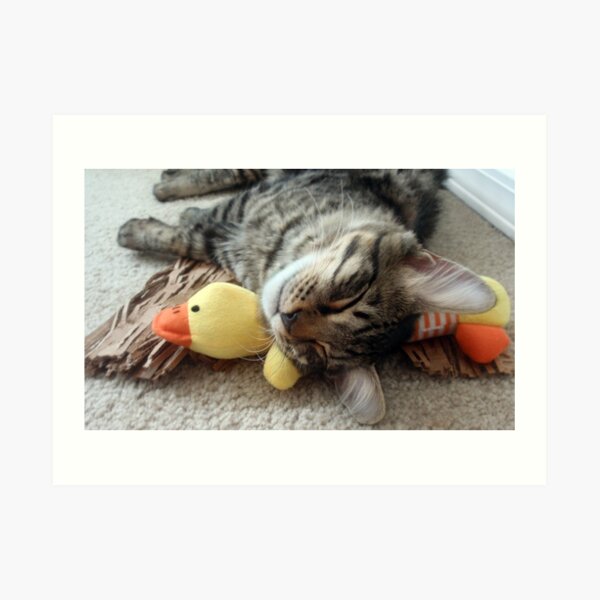 Mikino & Ducky, Naptime Art Print