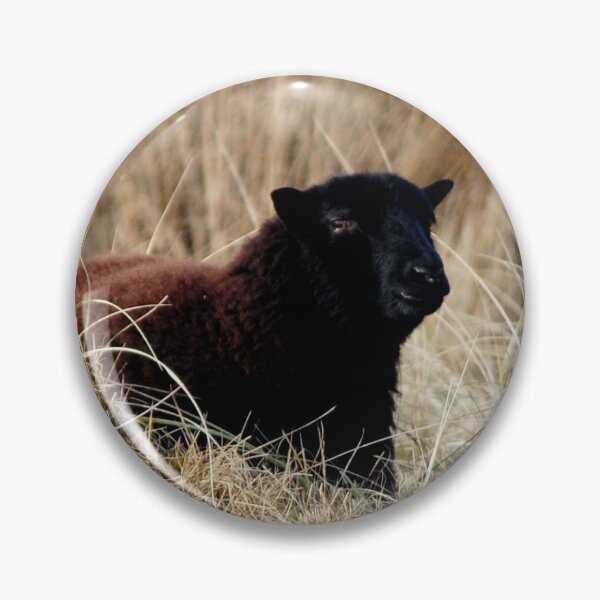 Item preview, Black sheep designed and sold by Robobee.