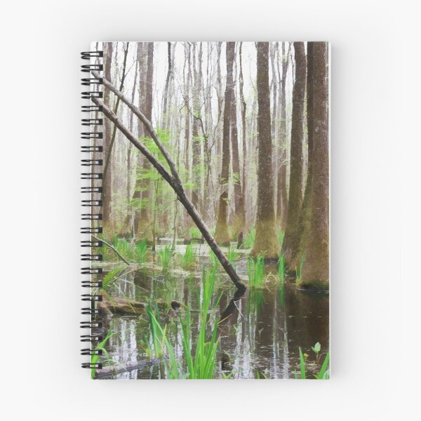 Item preview, Spring in the Marsh designed and sold by Eileen McVey.