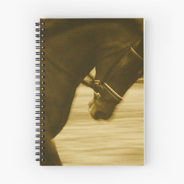 Item preview, Warm-up Malibu Dressage designed and sold by allanrdazrb.