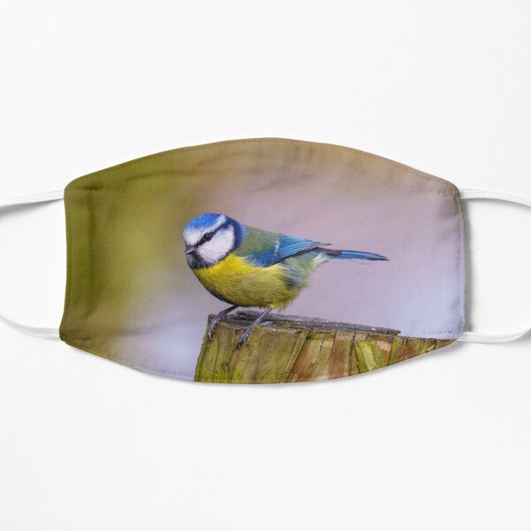 Blue Tit perched on a fence post Flat Mask