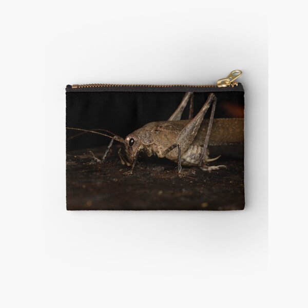 Item preview, King cricket (Transaevum laudatum) designed and sold by Trent Townsend.