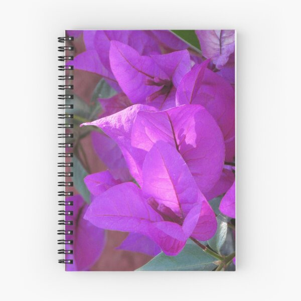 Item preview,  Bugamvilea flower designed and sold by pgorostiza.