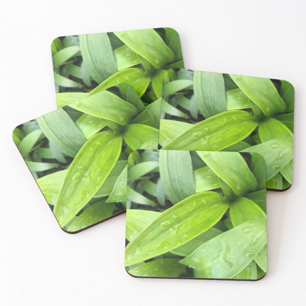 Item preview, Green Lily Leaves after Rain designed and sold by Rachel Pile.