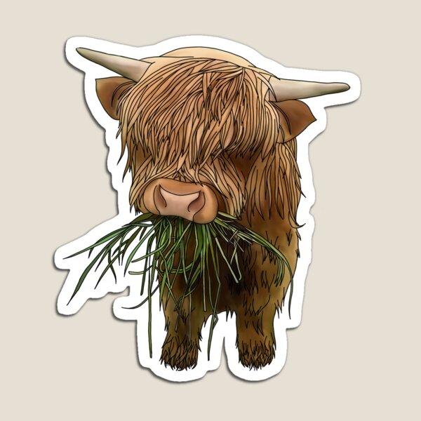 Baby highland cow Magnet