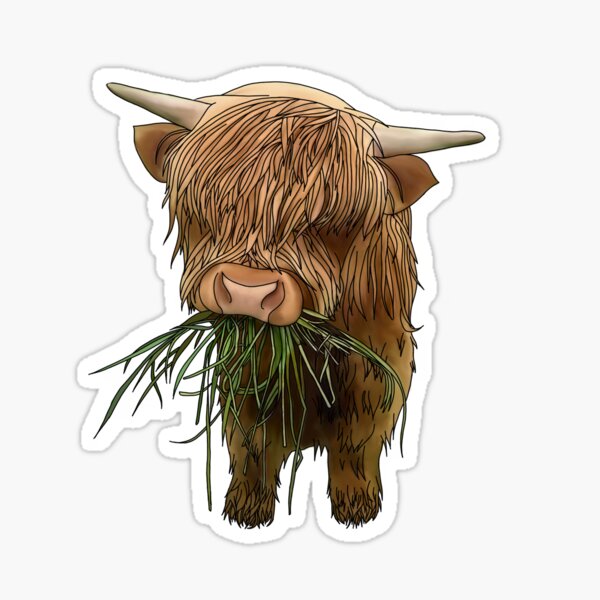 Bébé vache des Highlands Sticker