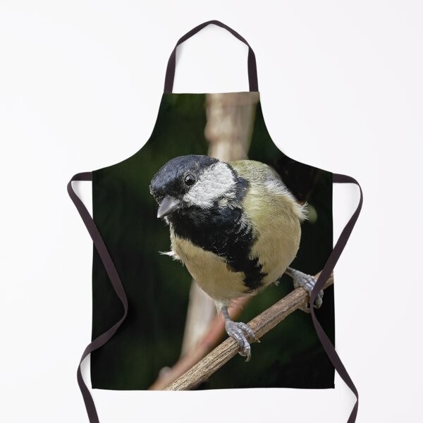 Item preview, r1481/ New Finition - 2021 - mésange b 30 (c)(t) Olavia-Olao Okaio Créations designed and sold by o.okaïo.