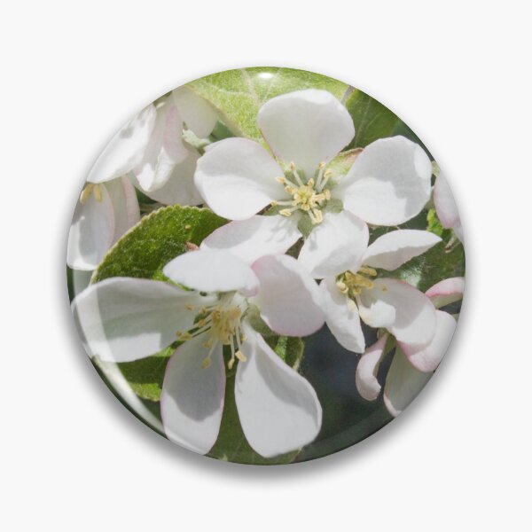 Item preview, white apple flowers with yellow stamens on a background of green foliage designed and sold by nataliavavilina.