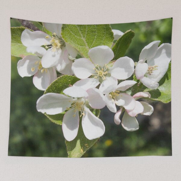 Item preview, white apple flowers with yellow stamens on a background of green foliage designed and sold by nataliavavilina.