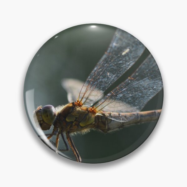 Item preview, Dragonfly in the urban garden designed and sold by wineandwords.