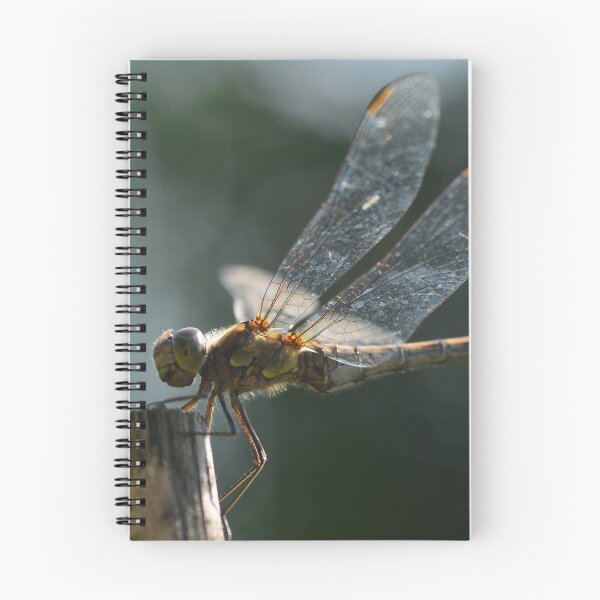 Item preview, Dragonfly in the urban garden designed and sold by wineandwords.