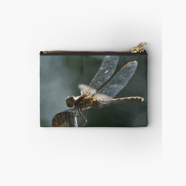 Item preview, Dragonfly in the urban garden designed and sold by wineandwords.