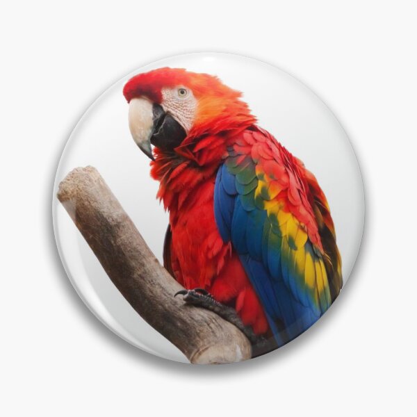 Item preview, Colorful Tree Branch Parrot designed and sold by Alladin7.