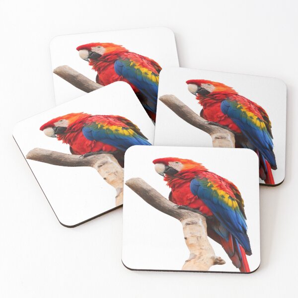 Item preview, Colorful Tree Branch Parrot designed and sold by Alladin7.