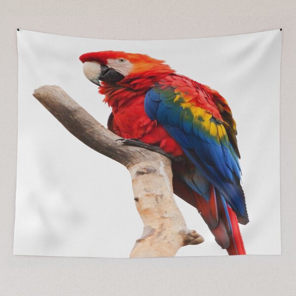 Item preview, Colorful Tree Branch Parrot designed and sold by Alladin7.