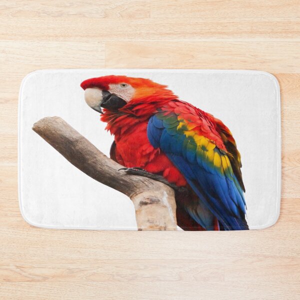 Item preview, Colorful Tree Branch Parrot designed and sold by Alladin7.