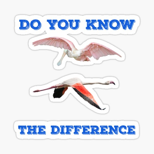 Item preview, Do You Know The Difference Flamingo - Roseate Spoonbill designed and sold by KeysTreasures.