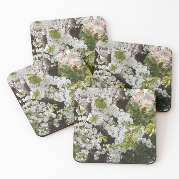 Item preview, Blossoming cherry tree in the front garden designed and sold by wineandwords.