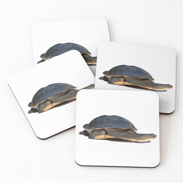 Item preview, Eastern Long-necked Turtle (Chelodina longicollis) designed and sold by Trent Townsend.