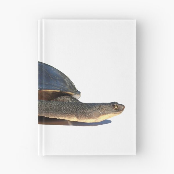 Item preview, Eastern Long-necked Turtle (Chelodina longicollis) designed and sold by Trent Townsend.