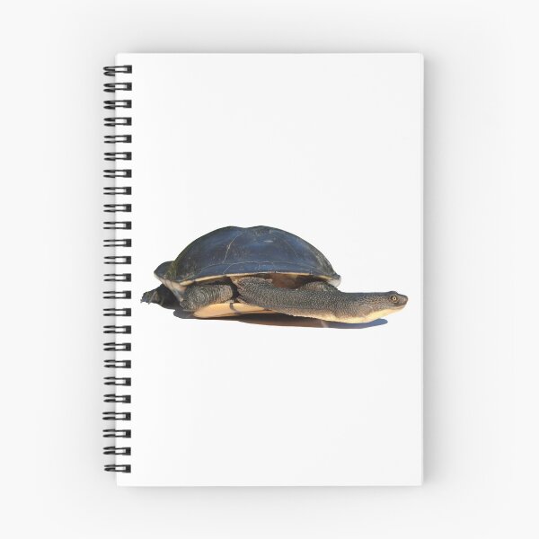 Item preview, Eastern Long-necked Turtle (Chelodina longicollis) designed and sold by Trent Townsend.
